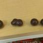 Malteser Mitosis