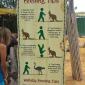 Kangaroo Feeding Tips