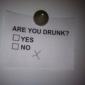 Are you drunk?