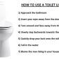 How To Use A Toilet Like A Woman