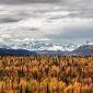 Autumn in Alaska