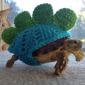 Tortoise Sweater