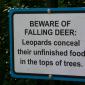 Falling Deer