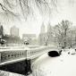 Central Park Snow