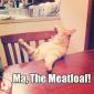 Ma, The Meatloaf!