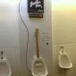 Musical Urinal