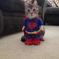 Supercat