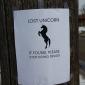 Lost Unicorn