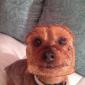 half dog - half bread