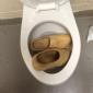 Someone clogged the toilet