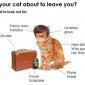 Is your cat about to leave you?