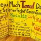 Science Fair project