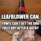 Leafblower Can