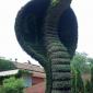 Topiary Cobra