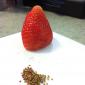 Seedless Strawberry