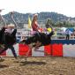 Ostrich Racing