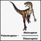 Velocityraptor