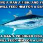 give a man a fish