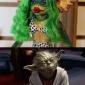 Yoda's Early Years