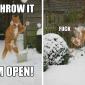 Throw it! I'm Open!