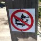 No Cool Dogs Allowed