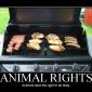 Animal Rights