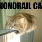 Monorail Cat
