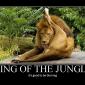 King of The Jungle